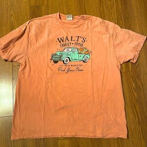 Pixie Lee Disney inspired shirt ￼